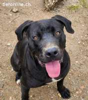 Kay sucht ein Zuhause: Energiegeladen und voller Liebe