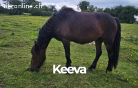Keeva
