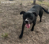 Kemal, möchte endlich sein Herz verschenken