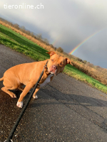 Kida -  neun Jahre sucht Liebevolles neues zuhause