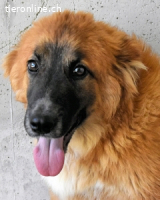 Kinuccio - Ein kleines, großes ?Hey Du!?