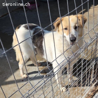 Kira jung, stark und bereit für ein neues Leben