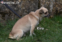 KIRO