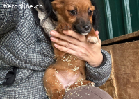 Kitty wünscht sich eine Familie