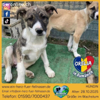 Kleine Entdeckerin mit großem Herzen