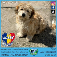 Kleiner Schatz sucht großes Glück