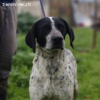 Kleo liebt die Nähe zu den Menschen