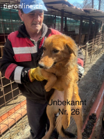 Kleopatra - unternehmungslustige Königin