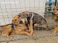 Kleopatra - unternehmungslustige Königin