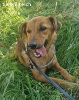 Kleopatra - unternehmungslustige Königin