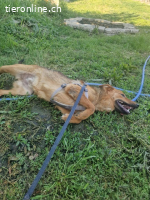 Kleopatra - unternehmungslustige Königin