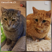 KOFFEE & SPYROS - ZWEI SEELEN EINE FAMILIE