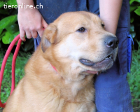 Kosey - wartet. Immer noch. Echt jetzt!