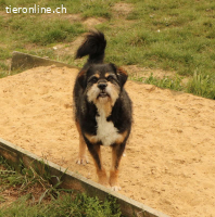 Lampo - Lebensfreude pur