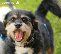 Lampo - Lebensfreude pur