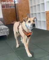 Lana in 1633 Marsens