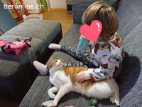 Lausbub Faro sucht spannendes Zuhause