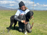 Lebensfrohe Hündin mit grossem Herz sucht Orientierung