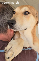 Lennox: möchte spielen, lernen, kuscheln