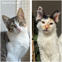 LEIA & KIM - ZWEI BEZAUBERNDE SCHWESTERN