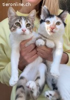 LEIA & KIM - ZWEI BEZAUBERNDE SCHWESTERN