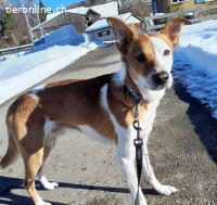 Leo, 4 J, wer gibt ihm die nötige konsequente Führung?