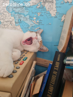 Leticia,  zauberhaft, tapfer & sehr lieb