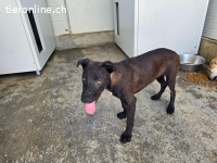 Lex: perfekt für aktive Familien