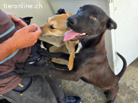 Lex: perfekt für aktive Familien