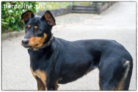 Lexi hatte es nicht so leicht