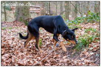 Lexi hatte es nicht so leicht