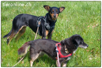 Lexi hatte es nicht so leicht