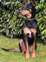 Lexi hatte es nicht so leicht