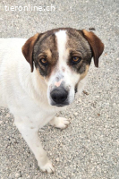 Lieschen die vorsichtige