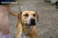 Lilli - und das Leben geht weiter....