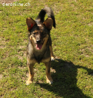 Lilly – kleine Kämpferin sucht grosses Herz
