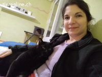 Lilo - Verspielter, liebevoller Charmeur mit Herz