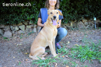 Lilyrose - als kleine Muschel ins Glück!