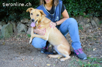 Lilyrose - als kleine Muschel ins Glück!