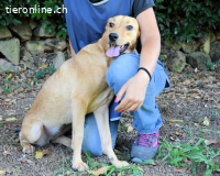 Lilyrose - als kleine Muschel ins Glück!