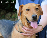 Linnea - Hauptsache ihr großes Herz passt in`s Körbchen