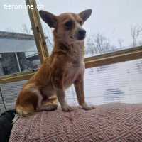 Lissy – die junge Kämpferin