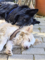 Liv und Bruce – gemeinsam stark