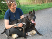 LIZA, lustige Mixomi, ca. 11J., 48cm, 21kg *Gnadenplatz *