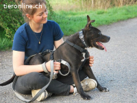 LIZA, lustige Mixomi, ca. 11J., 48cm, 21kg *Gnadenplatz *