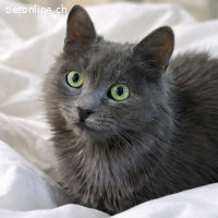 Lizzy sucht Menschen mit großem Herzen