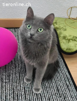 Lizzy sucht Menschen mit großem Herzen