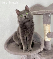 Lizzy sucht Menschen mit großem Herzen