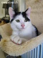 LOLITA & MOTCHI - ARME  BABYS DIE FAST VERHUNGERT WAEREN