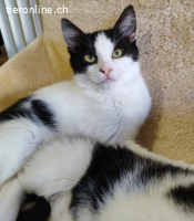 LOLITA & MOTCHI - ARME  BABYS DIE FAST VERHUNGERT WAEREN